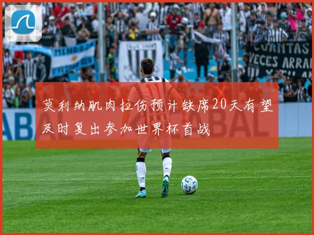 莫利纳肌肉拉伤预计缺席20天有望及时复出参加世界杯首战