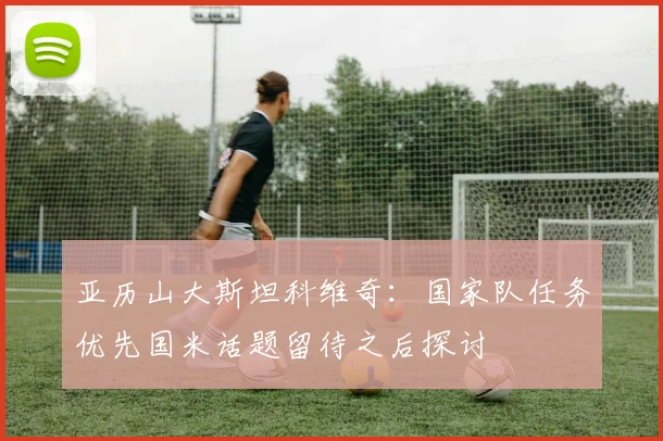 亚历山大斯坦科维奇：国家队任务优先国米话题留待之后探讨